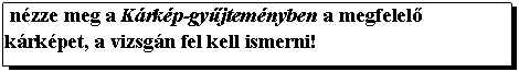 Text Box: nzze meg a Krkp-gyjtemnyben a megfelel krkpet, a vizsgn fel kell ismerni!