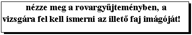 Text Box: nzze meg a rovargyjtemnyben, a vizsgra fel kell ismerni az illet faj imgjt!