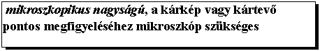 Text Box: mikroszkopikus nagysg, a krkp vagy krtev pontos megfigyelshez mikroszkp szksges