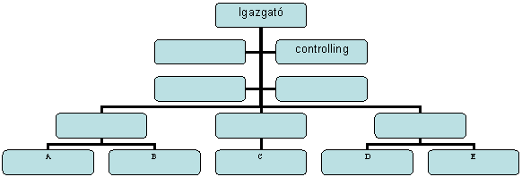 Organization Chart