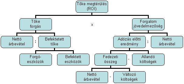 Organization Chart