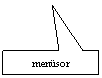 Rectangular Callout: mensor